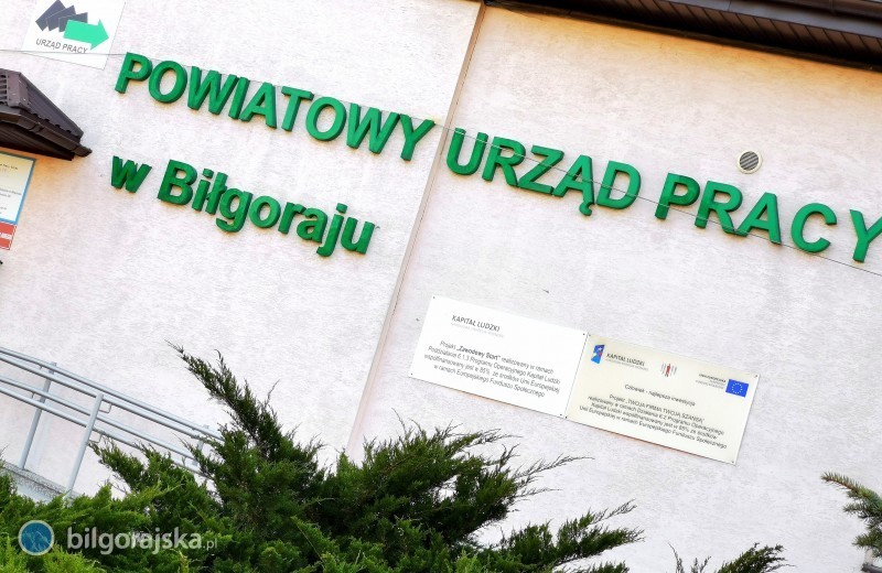 Wolne stanowisko w Urzędzie Pracy