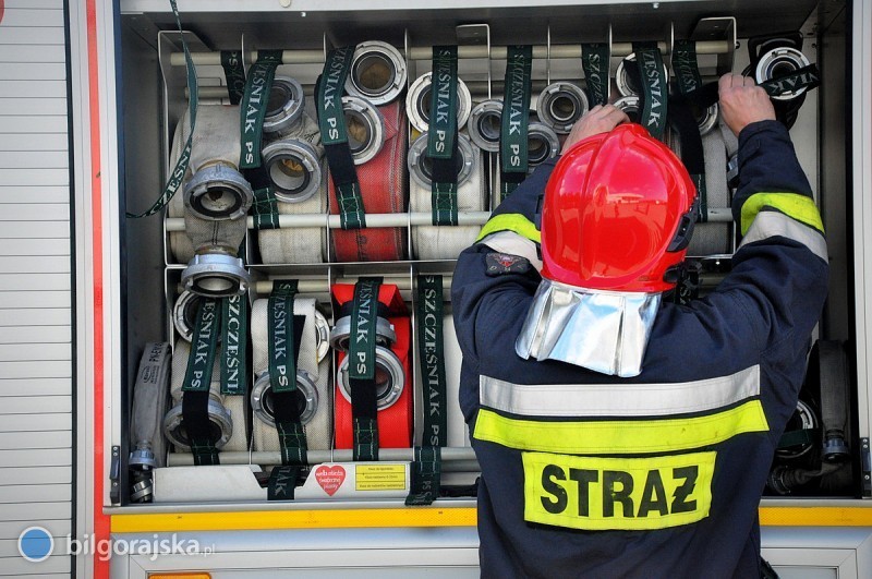 Sowa utknęła w kominie. Pomogli strażacy