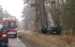 Osobwka wypada z drogi. Marznca mawka utrudnia ruch