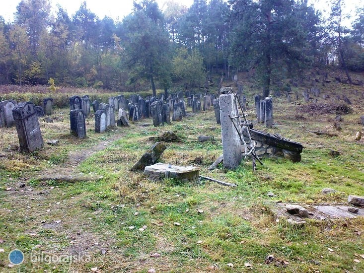 Porzdkowanie cmentarza ydowskiego