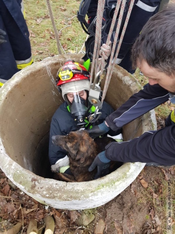 Pies wpadł do studni, uratowali go strażacy