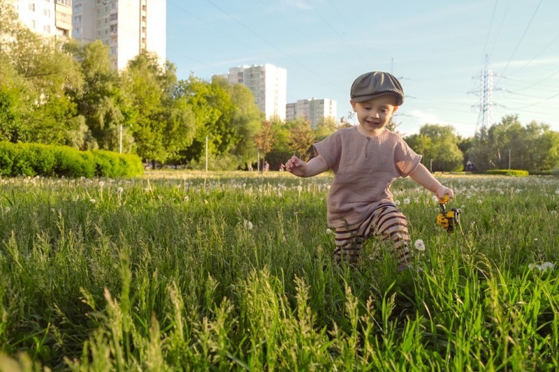 Miejska ziele - znaczenie rolinnoci w przestrzeni miejskiej