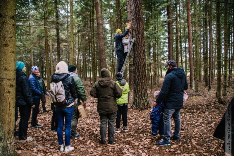 Domy na drzewach w bigorajskich lasach