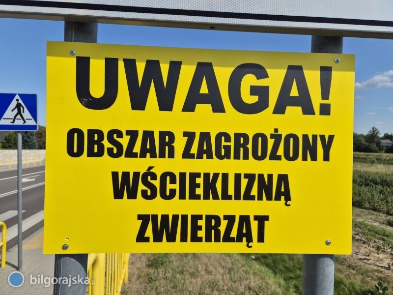 Obszar zagroenia wcieklizn na terenie powiatu