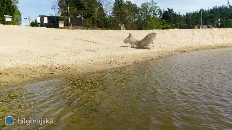 Woda w&nbsp;popularnym zalewie przebadana