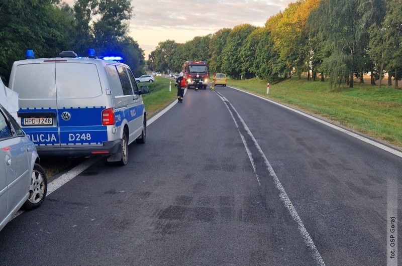 Zderzenie z&nbsp;�osiem na DW nr 835