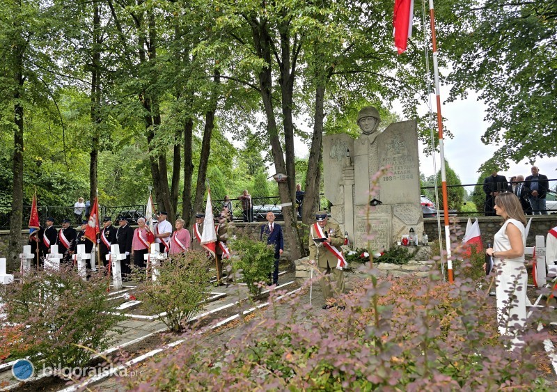 W rocznic� walk pod Aleksandrowem