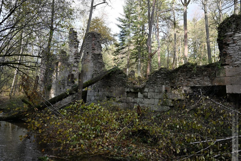 Tak teraz wygl�da dawna papiernia