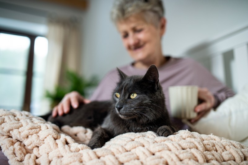 Felinoterapia - jak zosta� terapeut� pracuj�cym z&nbsp;kotami?