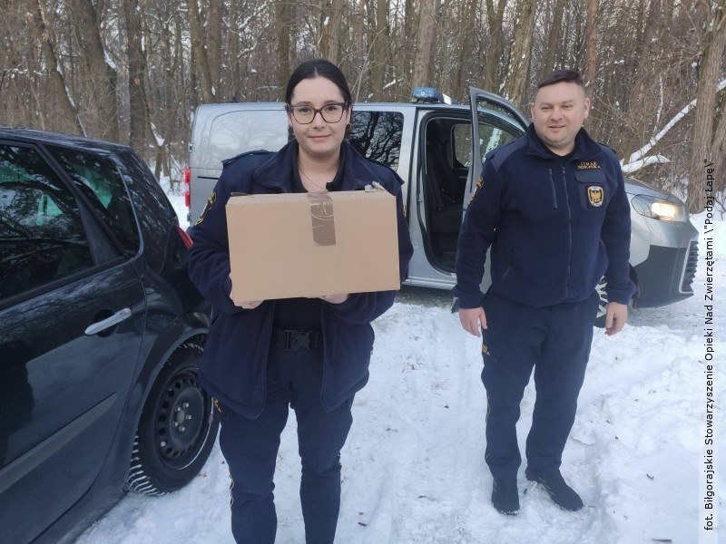 Stra� Miejska w&nbsp;Bi�goraju ratuje dzikie zwierz�ta