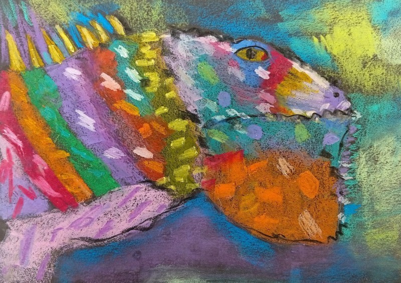 Nagrody i&nbsp;wyr�nienia za marzenia