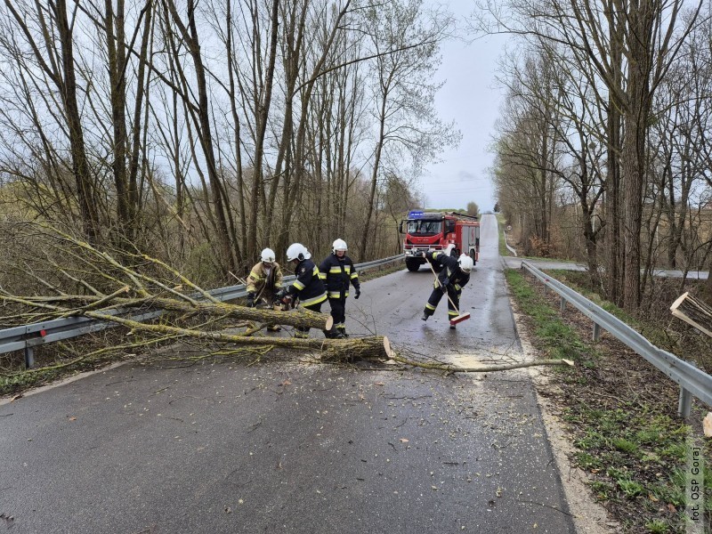 11 zdarzeń związanych z silnym wiatrem. Strażacy w akcji