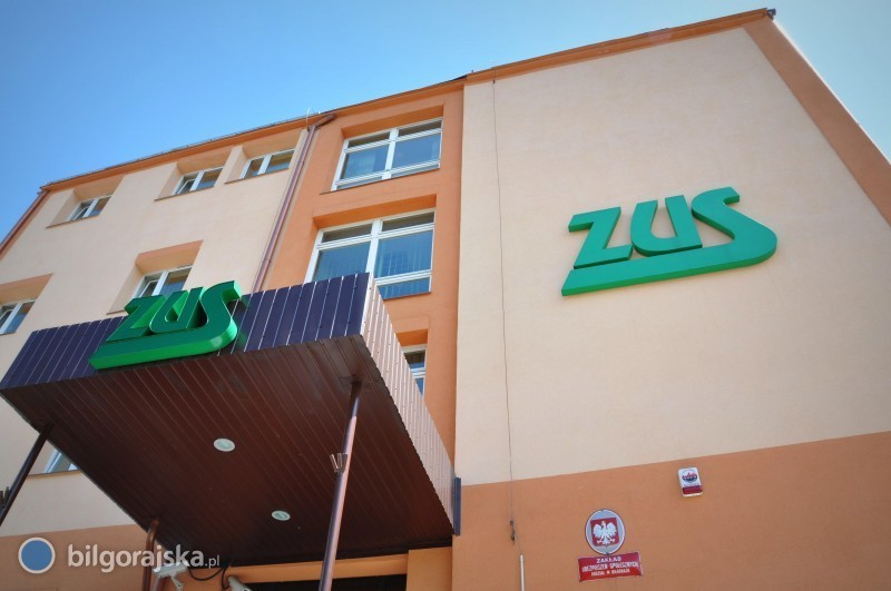 Świadczenie wspierające bez pośredników - ZUS pomaga za darmo