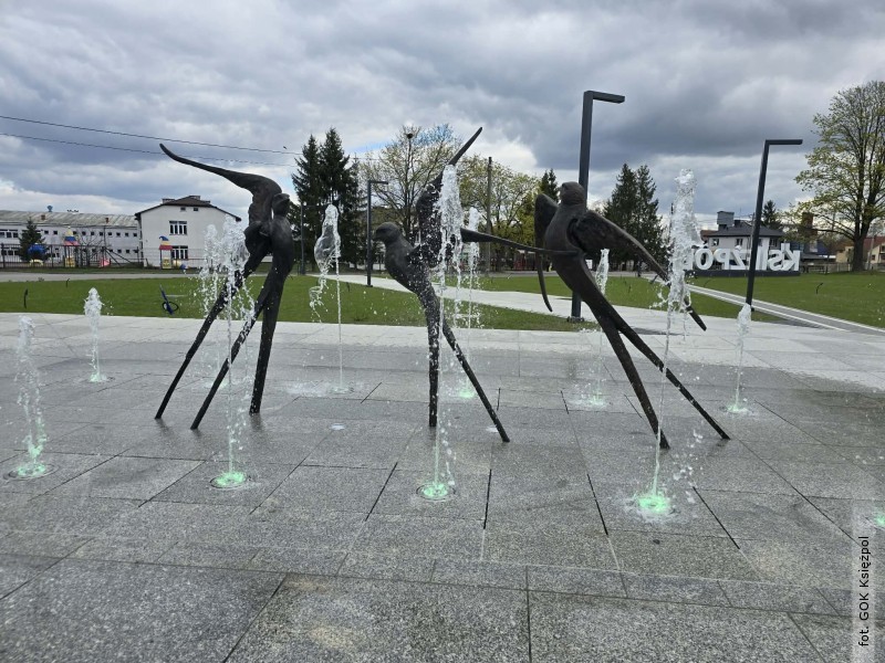 Nowa wizyt�wka Ksi�pola