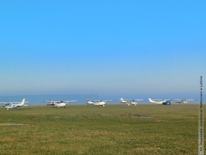 Czterodniowa akcja szczepie� przeciwko w�ciekli�nie. Jest apel do mieszka�c�w