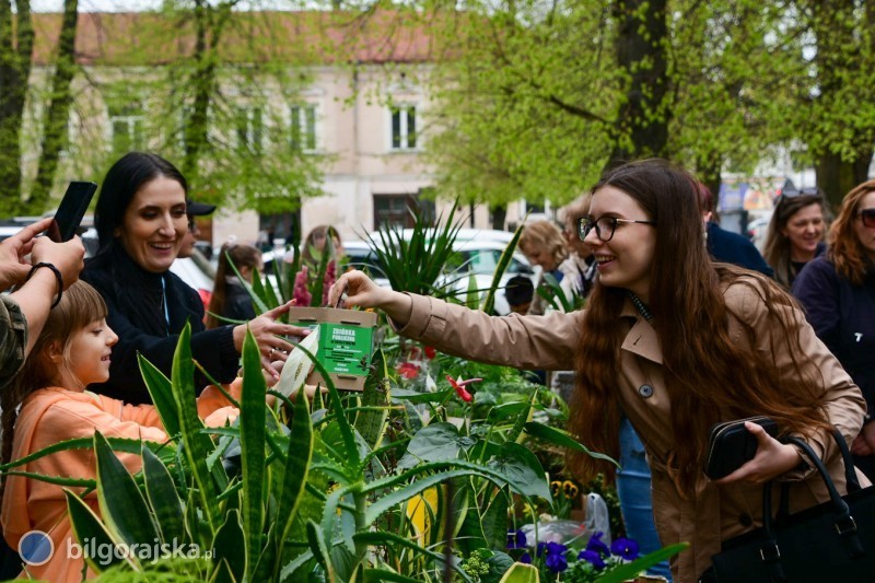 Kiermasz kwiat�w przyci�ga t�umy [NOWE ZDJ�CIA]