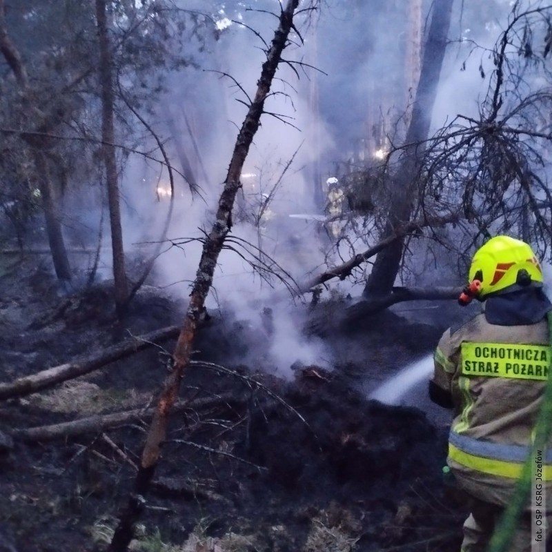 Stra�acy ca�� noc walczyli z&nbsp;po�arem