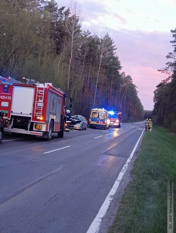 Zderzenie z&nbsp;�osiem na DW 858. Kierowca trafi� do szpitala