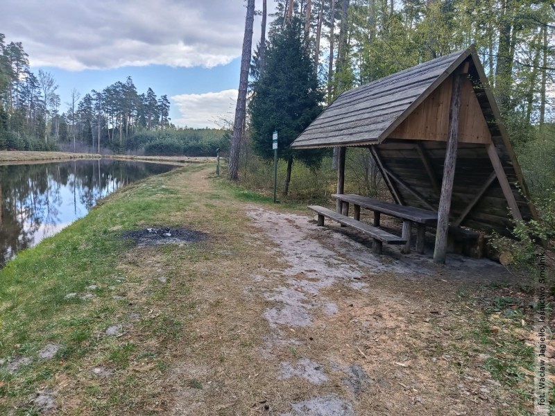 Nawet 30 tys. z� kary za ognisko w&nbsp;lesie