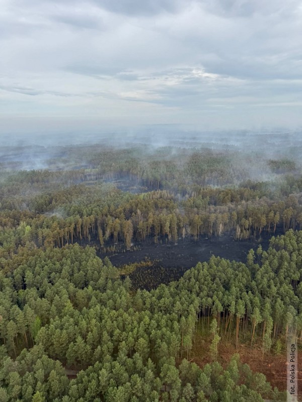 Informacje Pa�stwowej Stra�y Po�arnej ws. po�aru kompleksu le�nego w&nbsp;powiecie bi�gorajskim