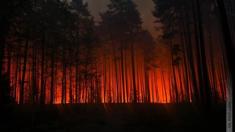 Prokuratura wszcz�a �ledztwo ws. po�aru las�w