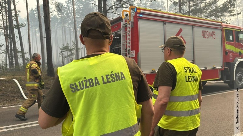 Puszcza Solska nadal pod nadzorem s�u�b