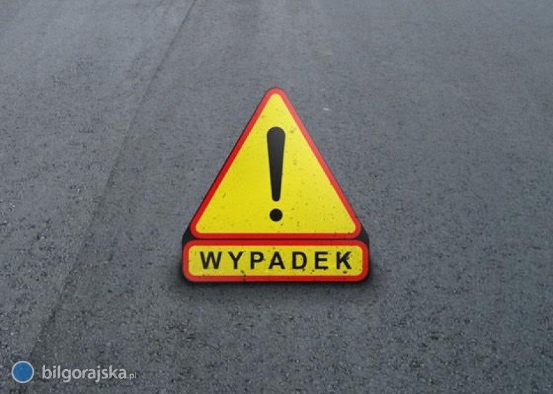 Ko� wbieg� w&nbsp;auto