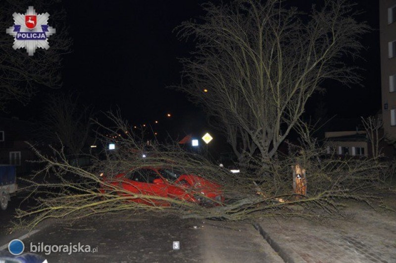 Wymyli rozbj, bo ba si odpowiedzialnoci