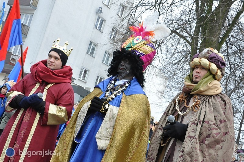 Czas zag�osowa� na wielb��da