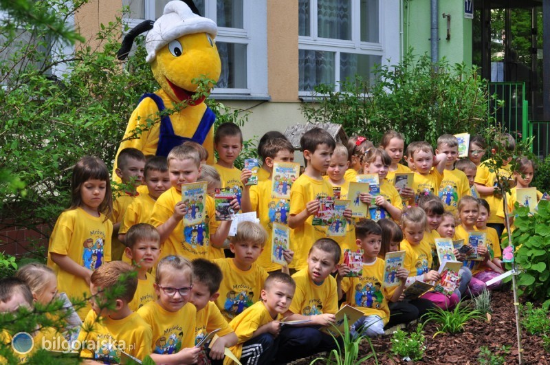 Aranacje ogrodowe z "Mrwk" w Przedszkolu Samorzdowym nr 3