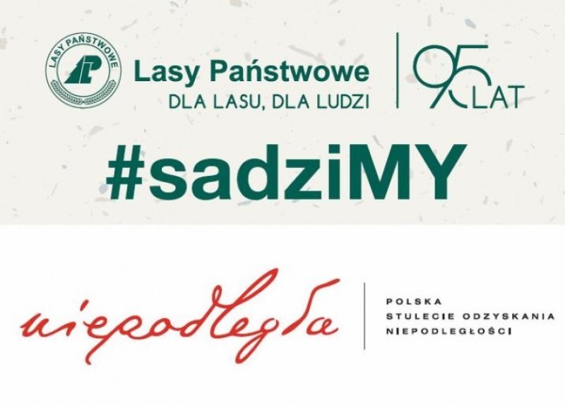 Nadle�nictwo rozda sadzonki