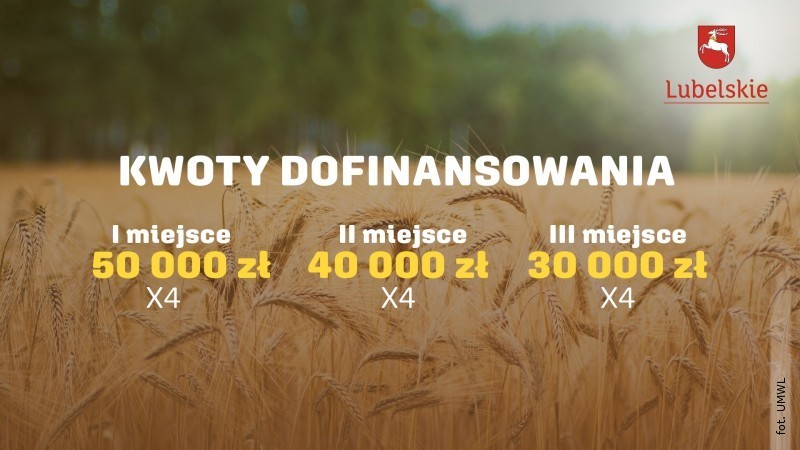 Nowy konkurs profrekwencyjny. Mona zdoby nawet 50 tys. z