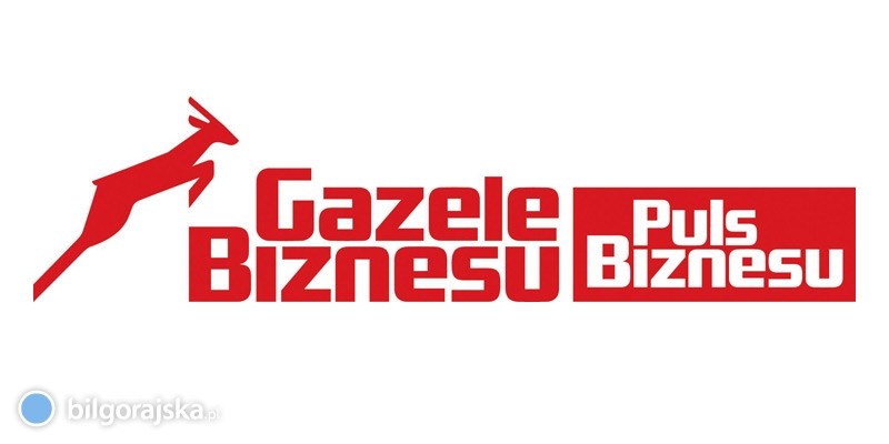 PGK Gazel Biznesu
