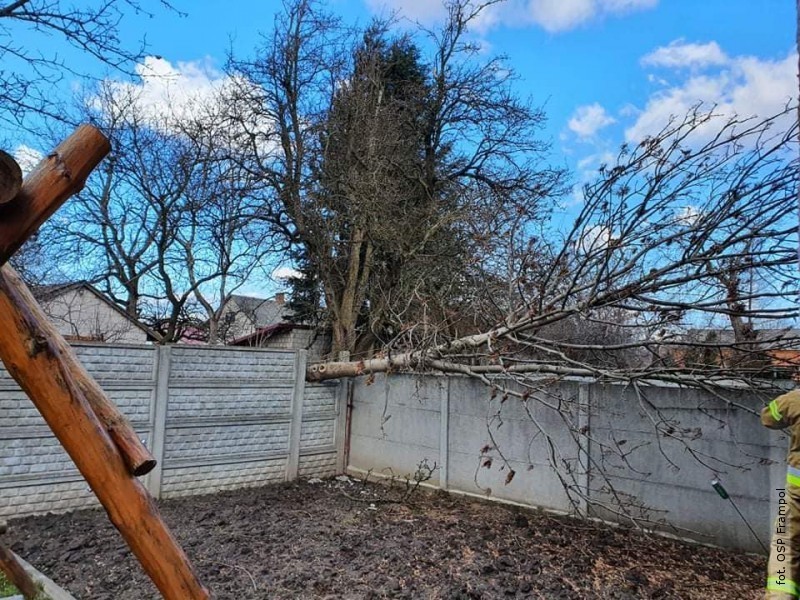 Powalone drzewa, zerwane linie energetyczne, uszkodzone dachy