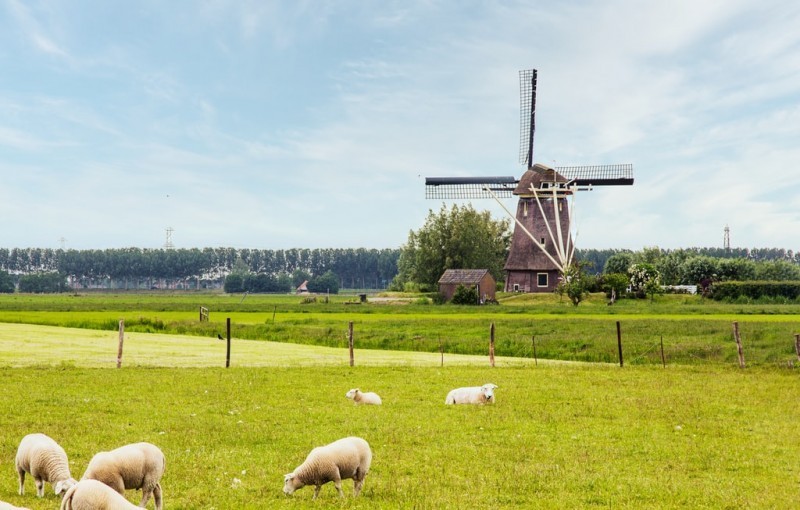 Praca - Holandia i korzyści, jakie ze sobą niesie podjęcie decyzji o wyjeździe