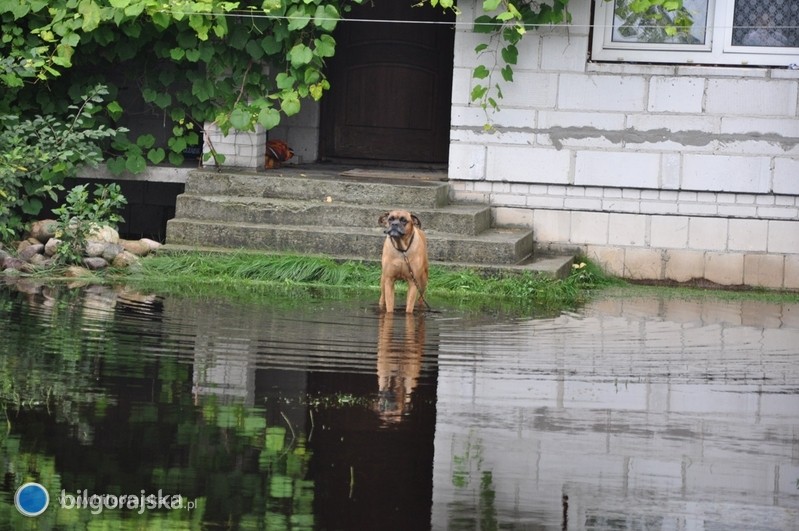 Zasiki dla powodzian