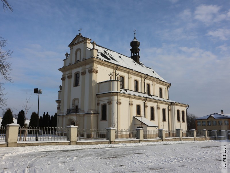 Tarnogrodzki koci odmieniony