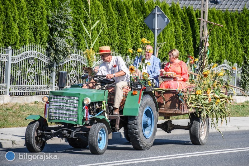 Tarnogrd rozpoczyna sezon doynkowy [NOWE ZDJCIA]