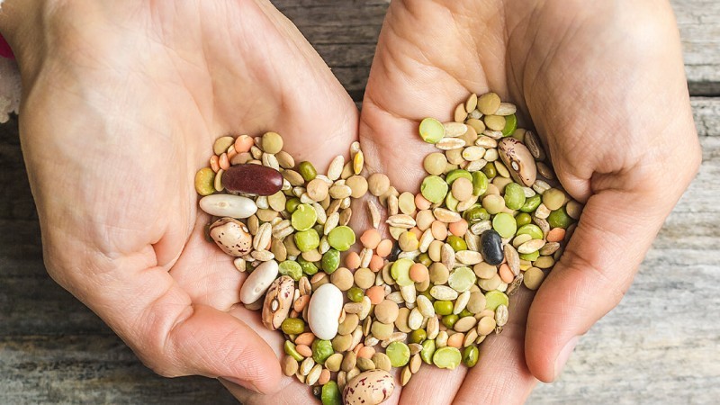 Nasiona - Ma�e Skarby Natury. Jak wzbogaci� diet� o&nbsp;cenne sk�adniki?