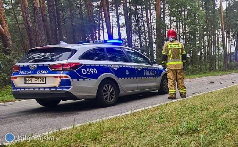 Rozlana substancja na jezdni. Auto wyl�dowa�o w&nbsp;rowie