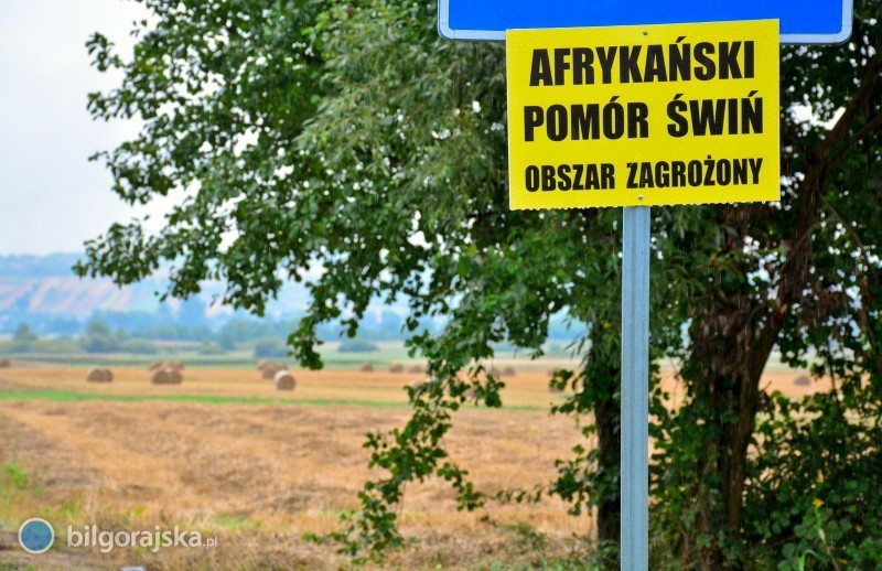 ASF w&nbsp;powiecie. Lista miejscowo�ci obj�tych zakazami