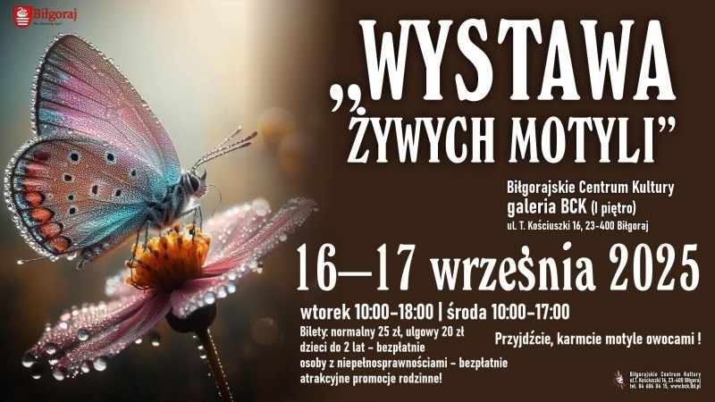 Setki �ywych motyli. Wyj�tkowa wystawa w&nbsp;BCK