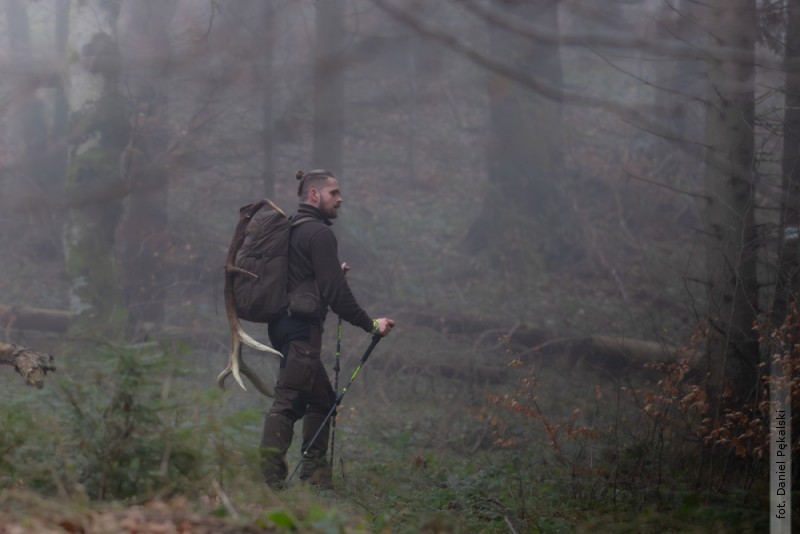 Og�lnopolska akcja w&nbsp;lasach