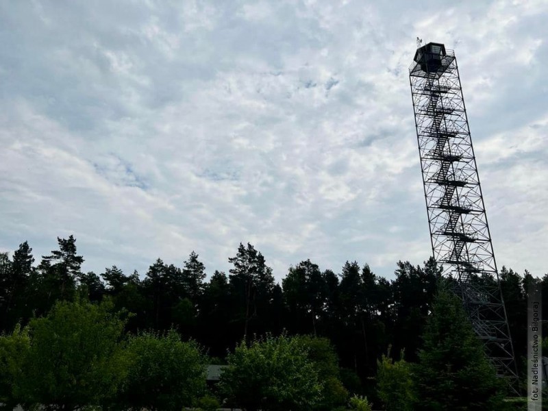 Wielka akcja w&nbsp;lasach