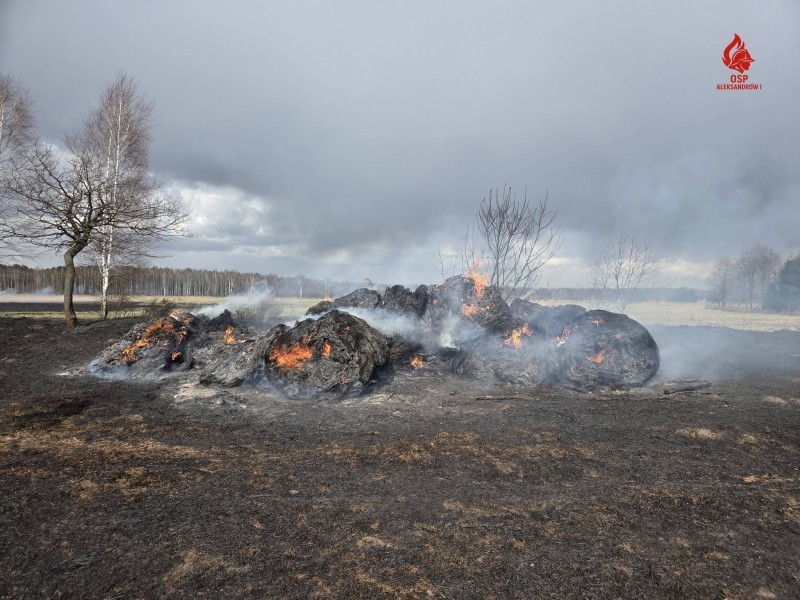 Gro�ny po�ar w&nbsp;powiecie. 94 stra�ak�w walczy�o z&nbsp;ogniem [AKTUALIZACJA]