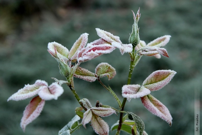 IMGW ostrzega mieszka�c�w. Alerty w&nbsp;ca�ej Polsce [AKTUALIZACJA]