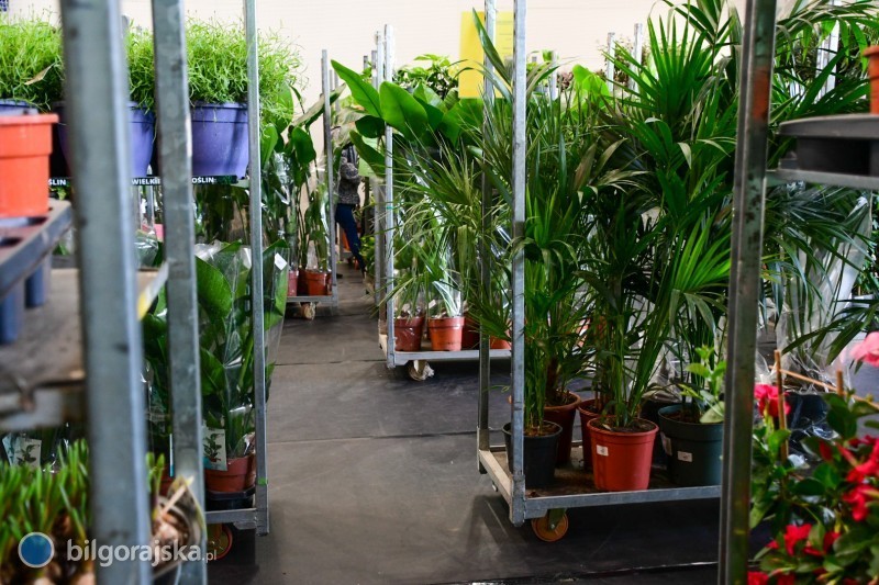 W Bi�goraju ruszy�y Wielkie Targi Ro�lin