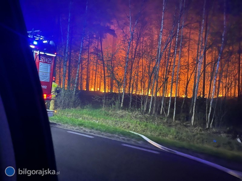 Tragedia podczas gaszenia po�aru. Rozbi� si� samolot ga�niczy