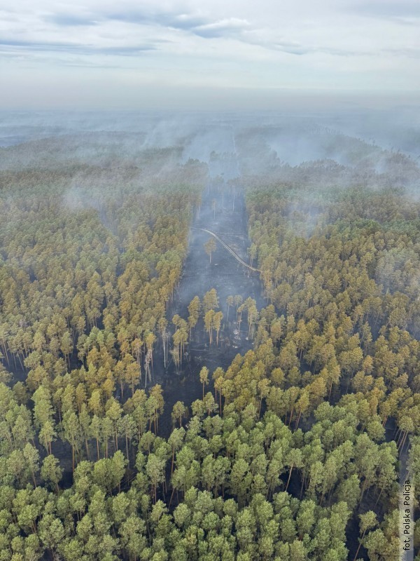 Sp�on�y bezcenne tereny przyrodnicze. Ogie� obj�� torfowiska i&nbsp;tereny Natura 2000