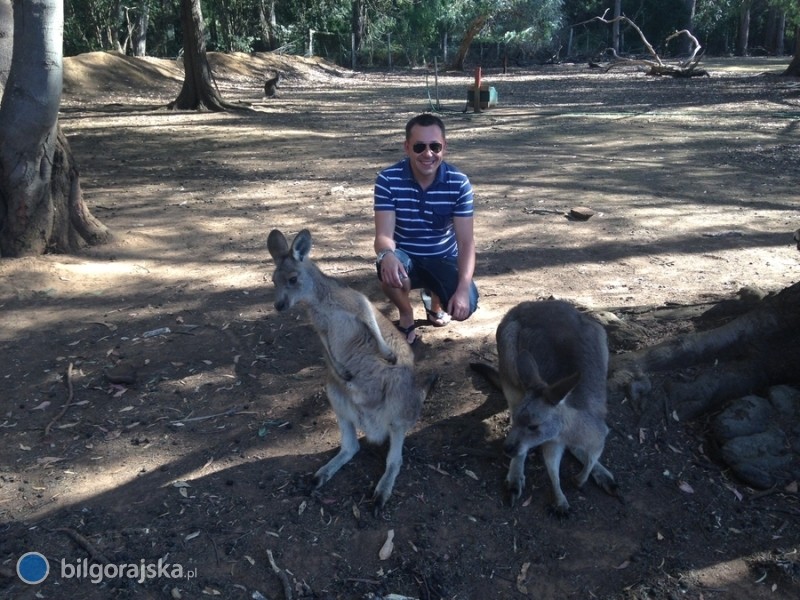 Wraenia z podry do Australii